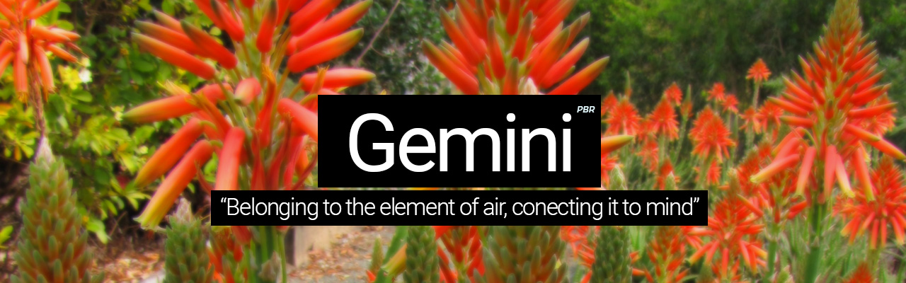 Gemini - Belonging to the element of air, connecting it to mind