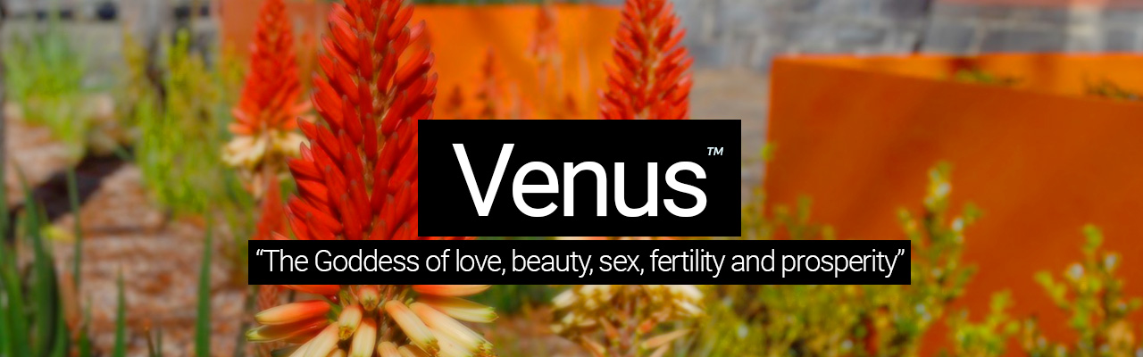 Venus - The Goddess of love, beauty, sex, fertility and prosperity